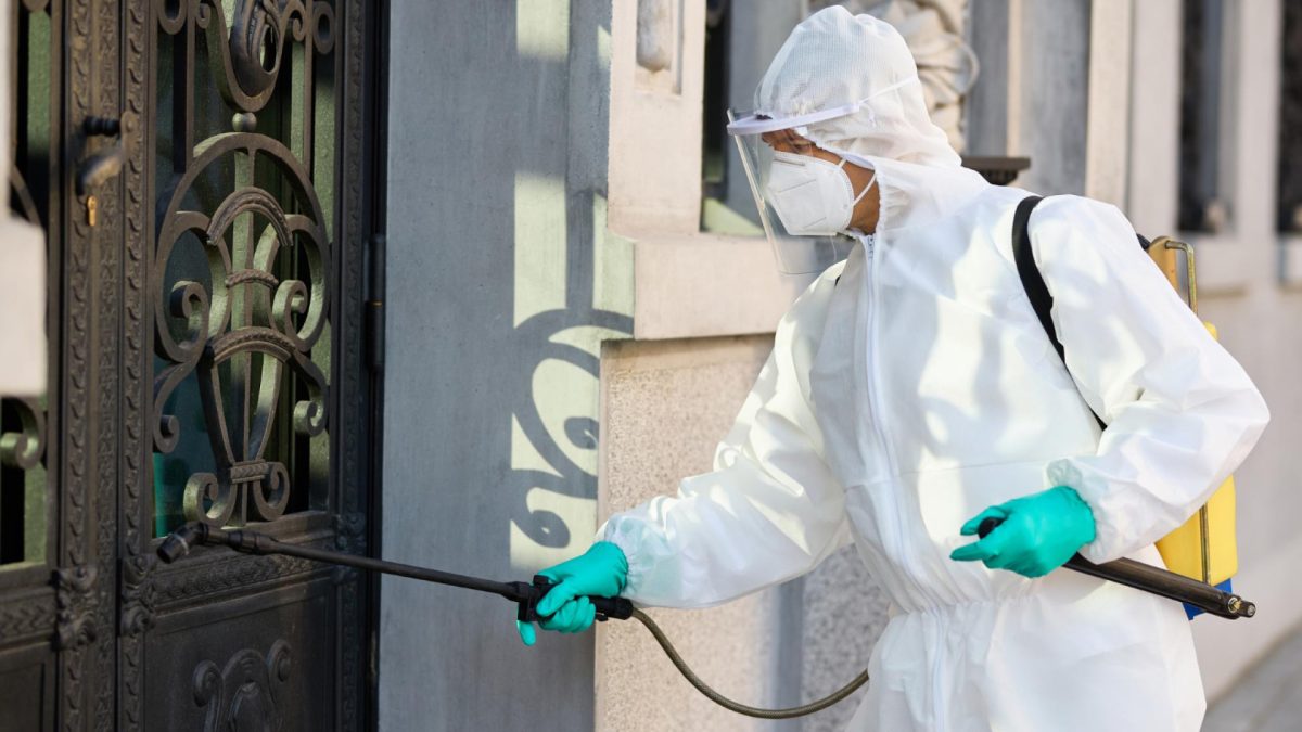 La lutte contre les rongeurs à Boulogne-Billancourt...